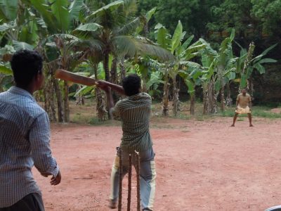Men playing cricket in palm trees.
