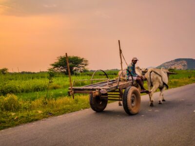 Indian bollock cart on the highway.